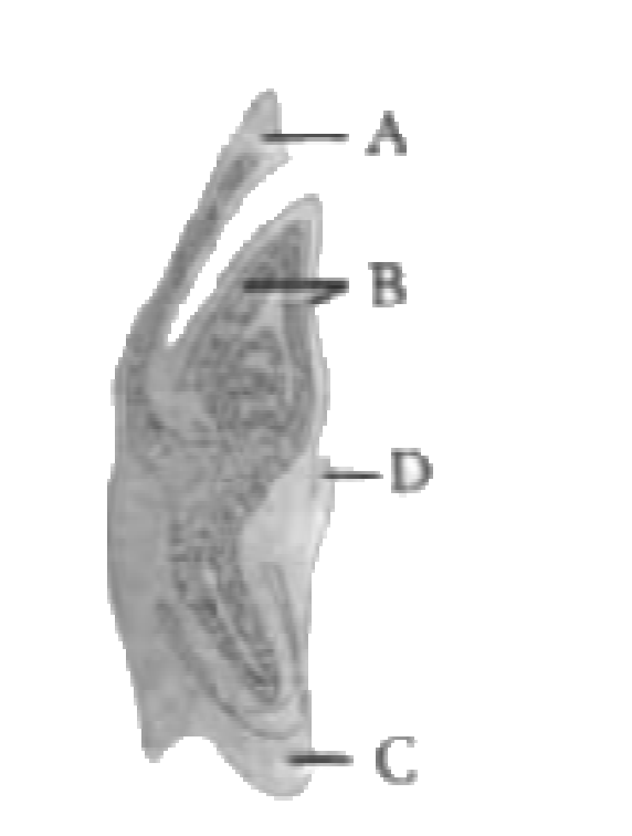 Question diagram