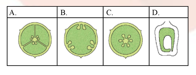 Question diagram