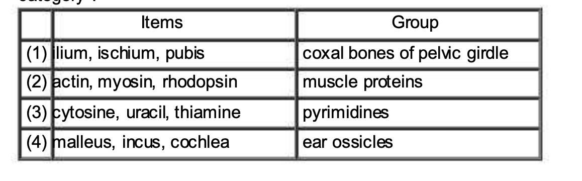 Question diagram