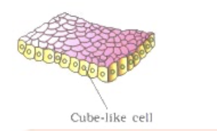 Question diagram