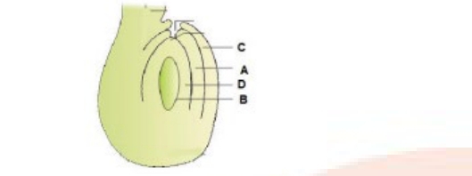 Question diagram