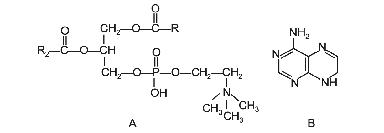 Question diagram