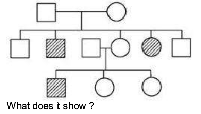Question diagram