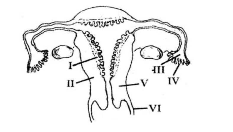 Question diagram