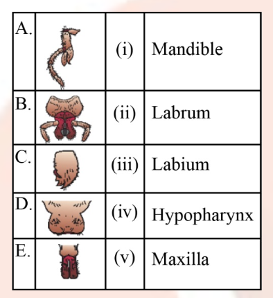 Question diagram