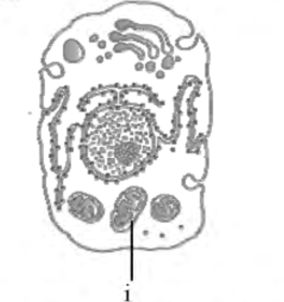 Question diagram