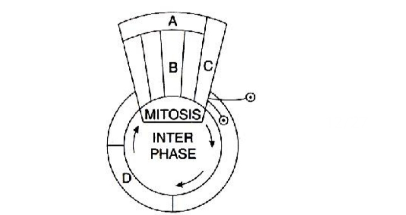 Question diagram