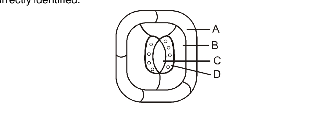 Question diagram