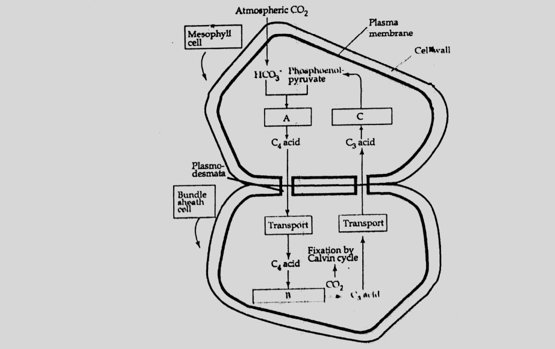Question diagram
