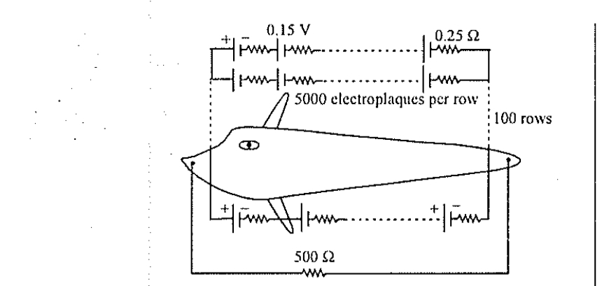 Question diagram