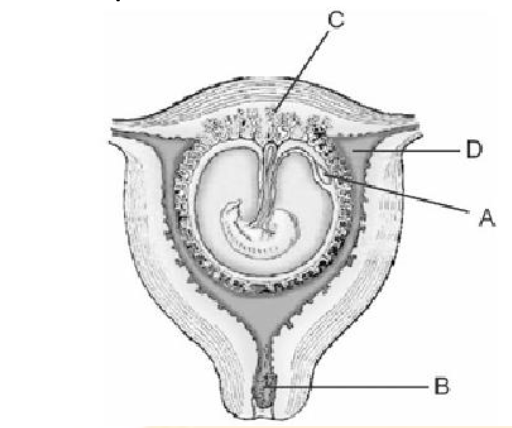 Question diagram
