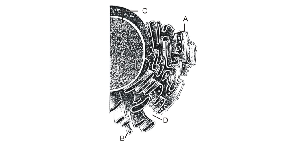 Question diagram
