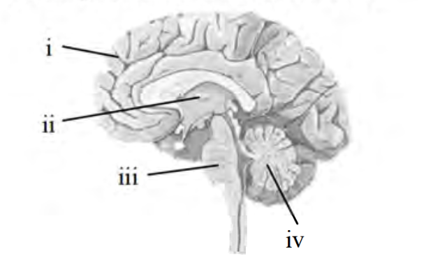 Question diagram