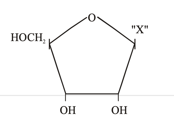 Question diagram