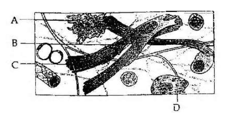 Question diagram