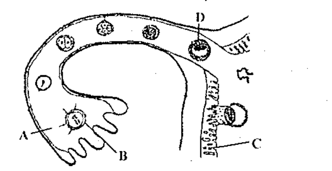 Question diagram