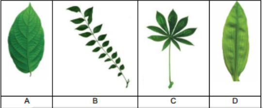 Question diagram