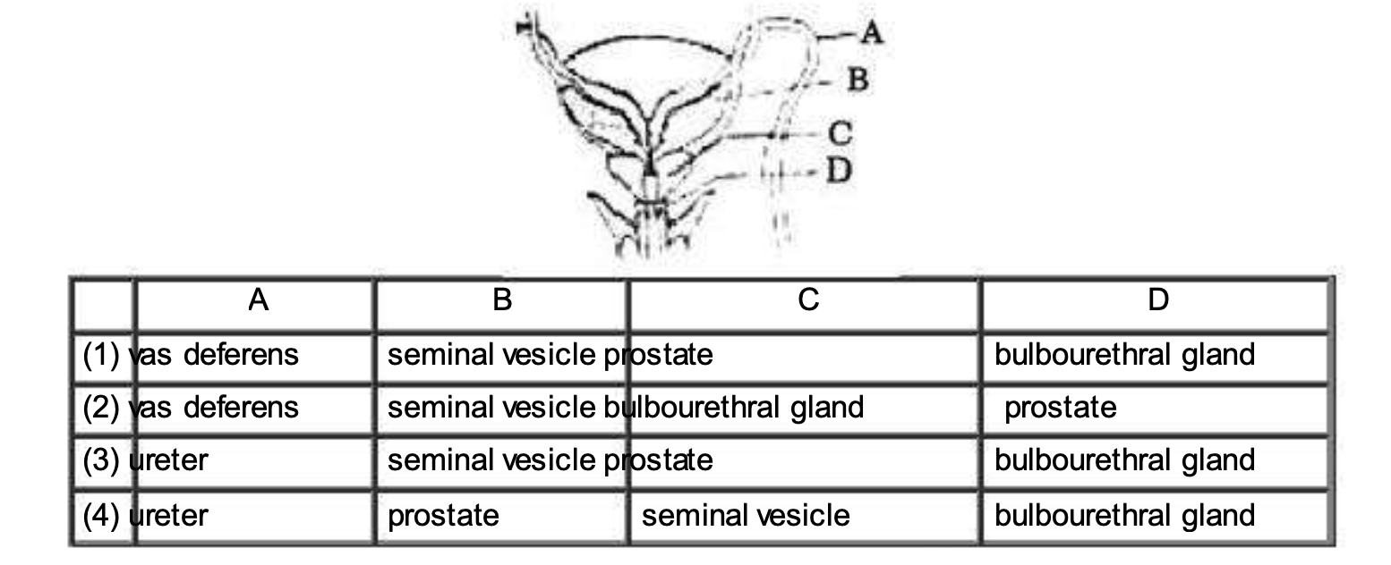Question diagram
