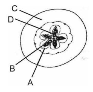 Question diagram