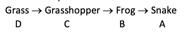 Question diagram
