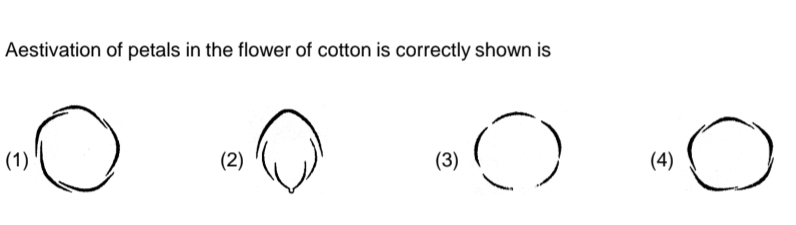 Question diagram