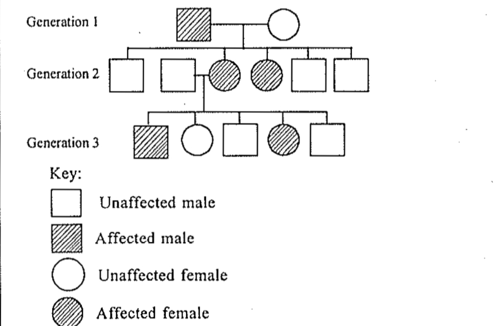 Question diagram