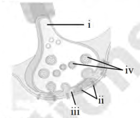 Question diagram