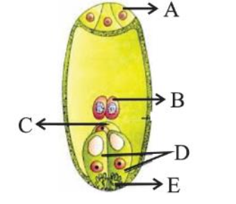 Question diagram