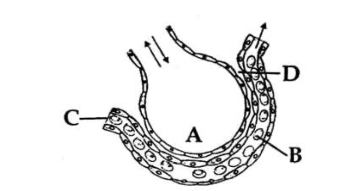 Question diagram