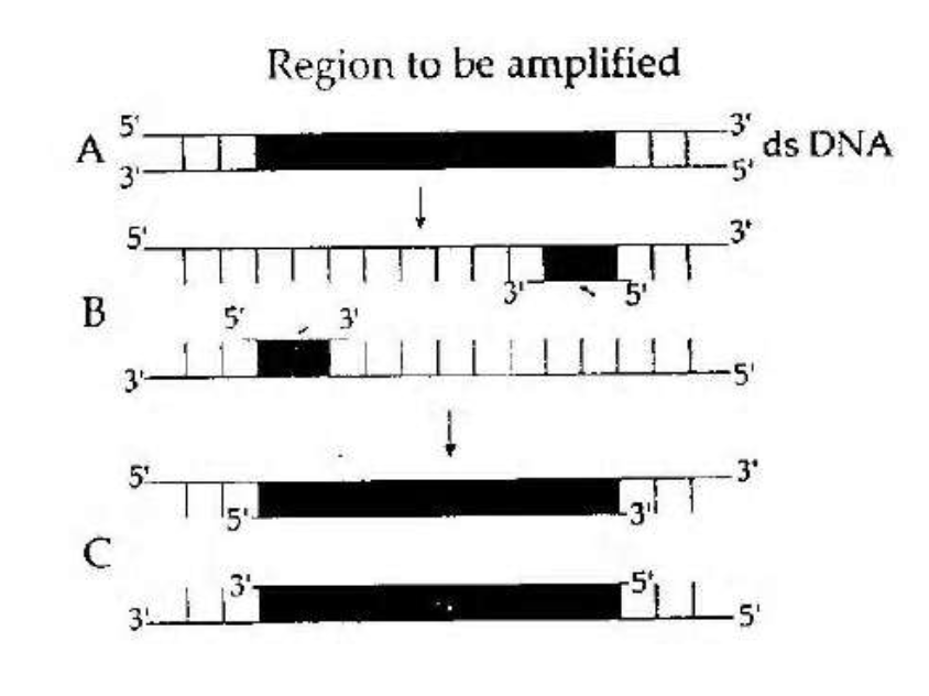 Question diagram