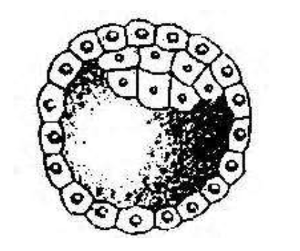 Question diagram