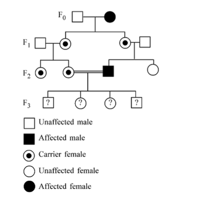 Question diagram