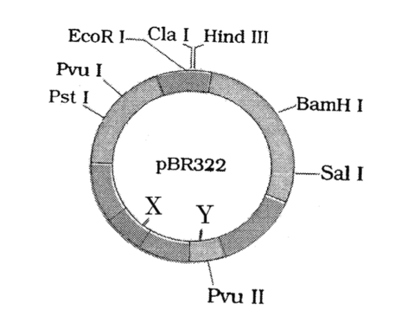 Question diagram