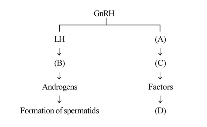 Question diagram