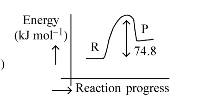 Option B