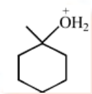 Option C
