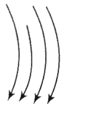 Option C