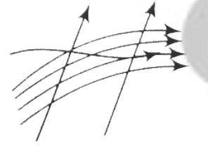 Option D