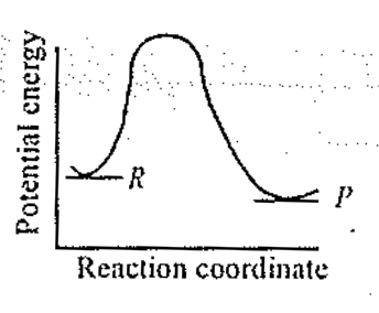 Option B