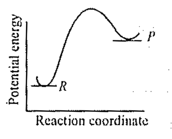 Option C