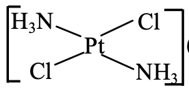 Option C