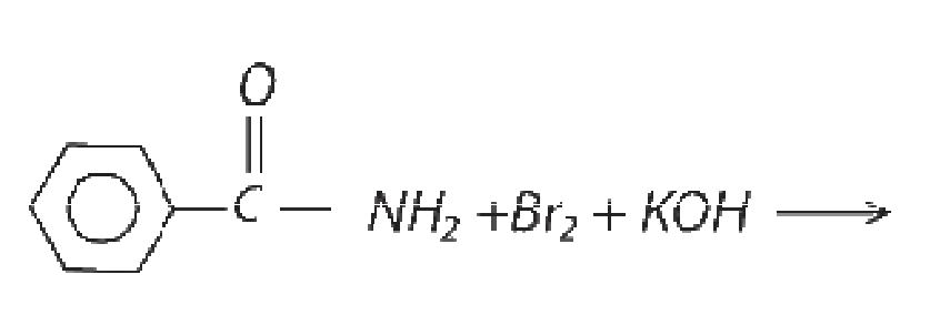 Option B