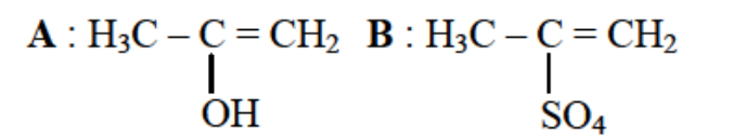 Option B