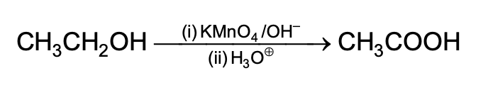 Option C