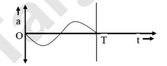 Option B