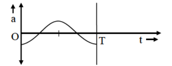Option C
