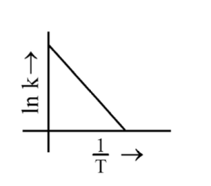 Option B