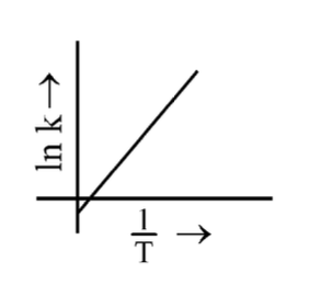 Option C