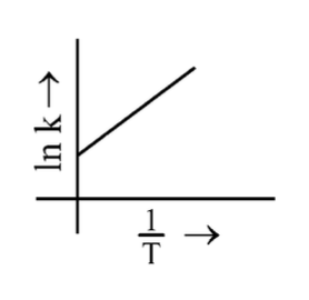Option D