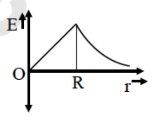 Option B
